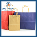 Design Color Printed Paper Shopping Bag (DM-GPBB-169)